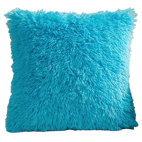 Turquoise 2025 fluffy cushion